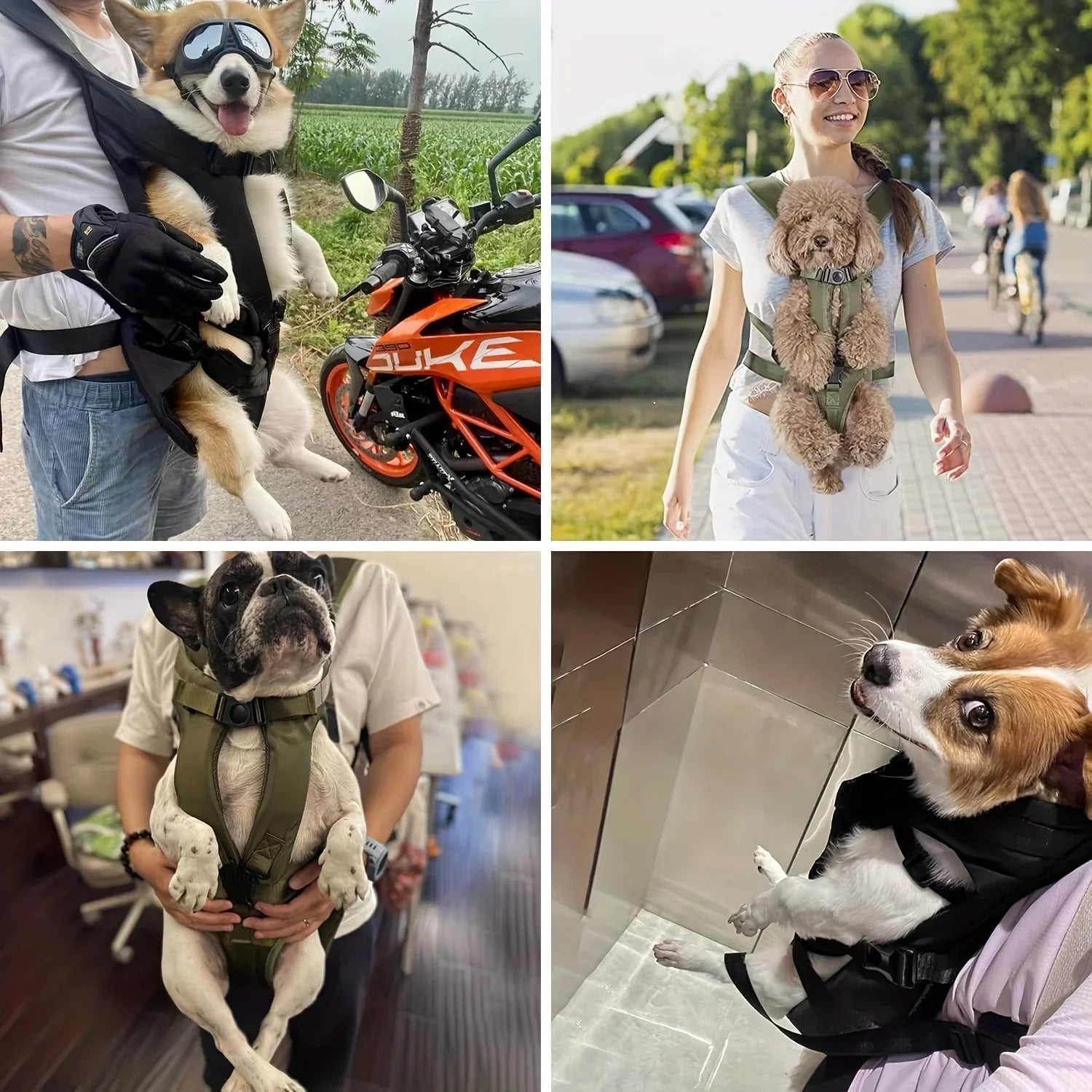 Adjustable Hands-Free Pet Front Carrier Backpack – Ideal for Small to Medium Dogs-My Little Pet