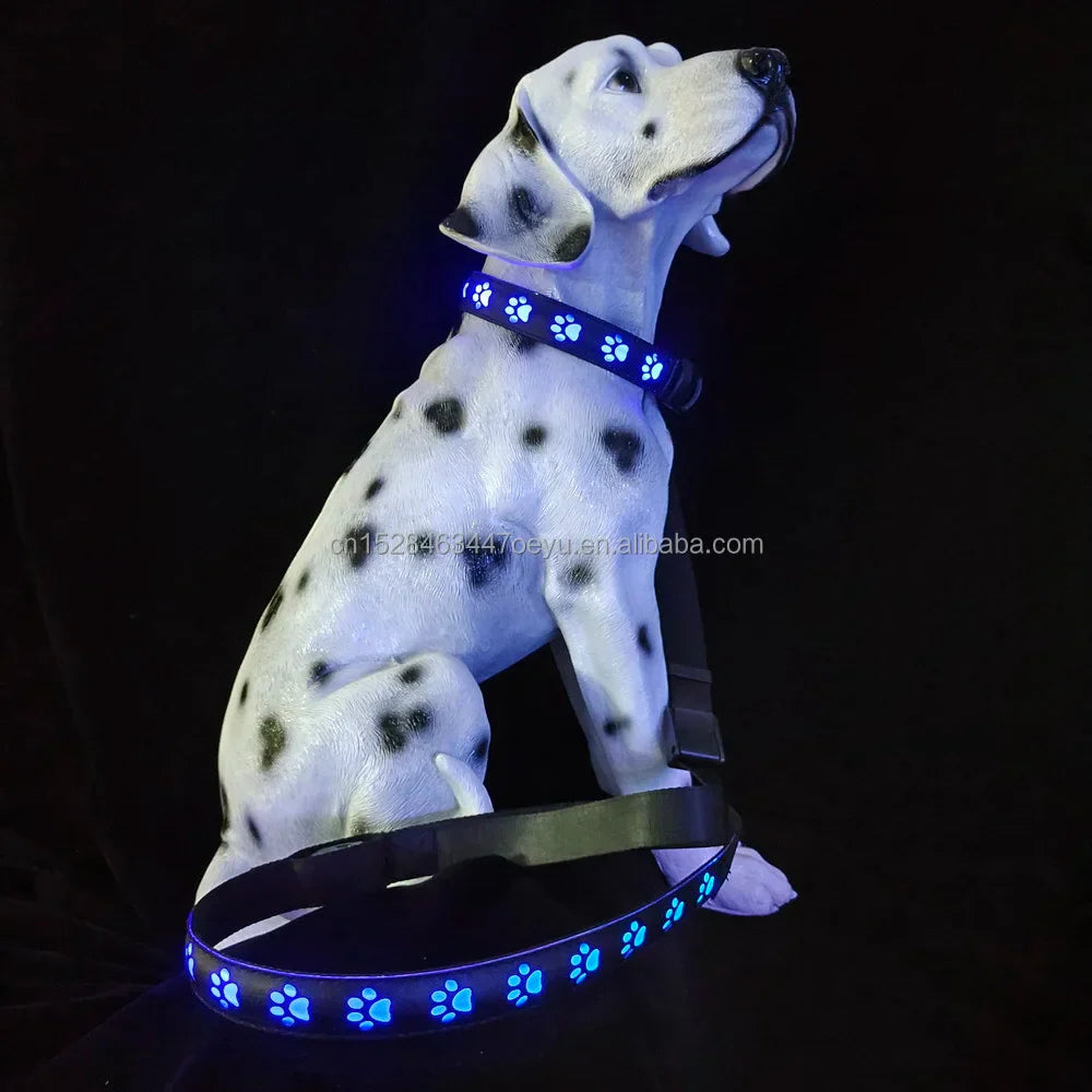 CC SIMON Rechargeable LED Dog Collar - Enhanced Night Safety with Multiple Flash Modes-My Little Pet