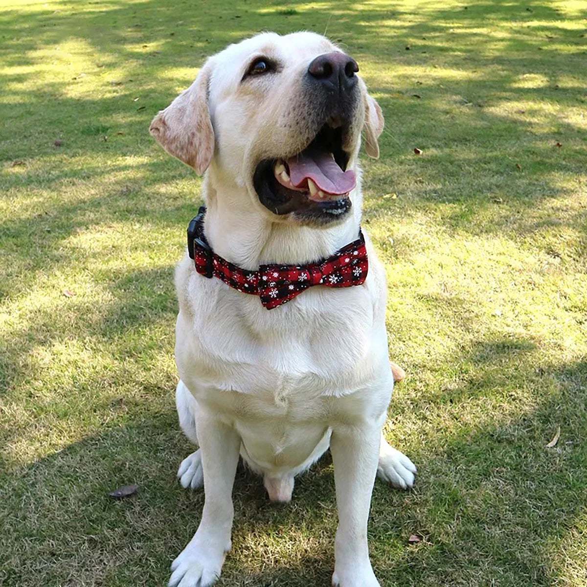 Adjustable Christmas Plaid Dog Collar with Bow Tie and Snowflake Design-My Little Pet