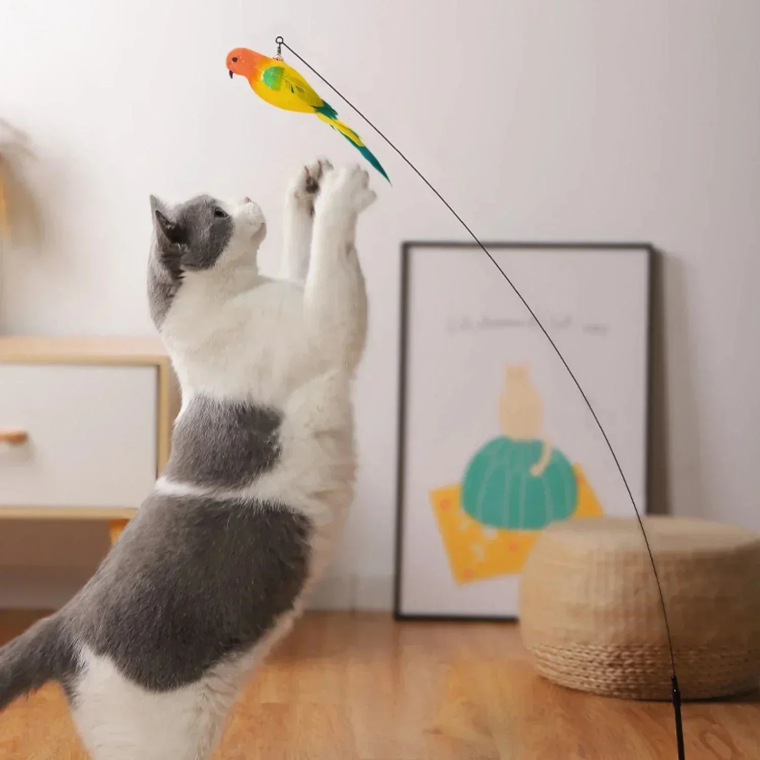 Interactive Peacock Feather Cat Toy with Bell and Suction Cup-My Little Pet