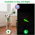 Rechargeable LED Dog Collar - Adjustable, Luminous Safety Collar for Pets-My Little Pet