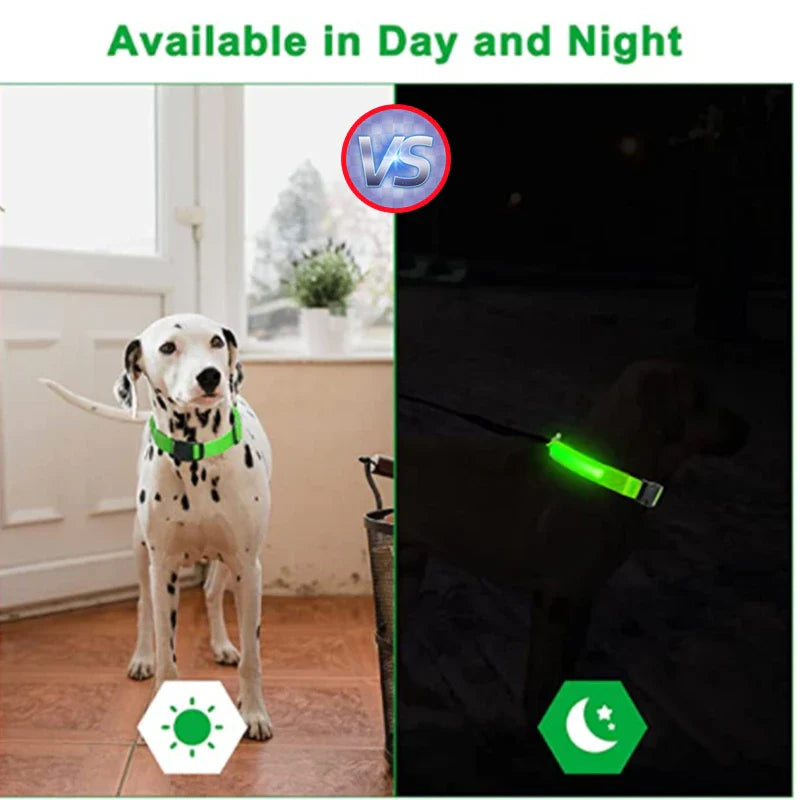 Rechargeable LED Dog Collar - Adjustable, Luminous Safety Collar for Pets-My Little Pet