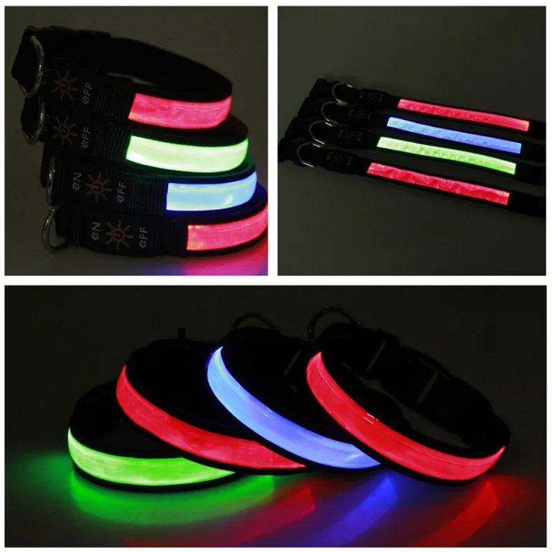 USB Rechargeable LED Dog Collar - Adjustable, Flashing Light Safety Collar for All Dog Sizes-My Little Pet