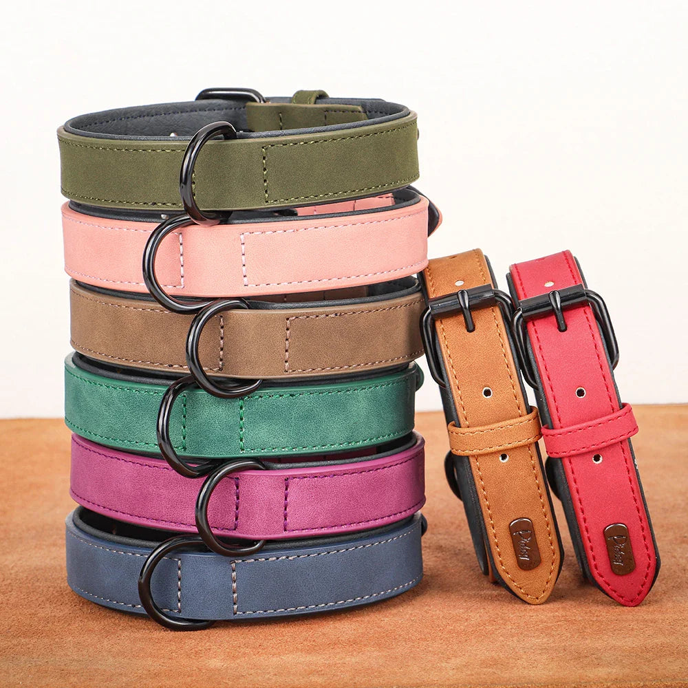 Premium Leather Dog Collar for Large Breeds-My Little Pet