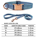 Personalized Dog Collar and Leash Set with Engraved Nameplate-My Little Pet