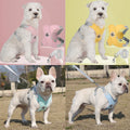 Reflective Dog Harness and Leash Set for Small to Medium Dogs-My Little Pet