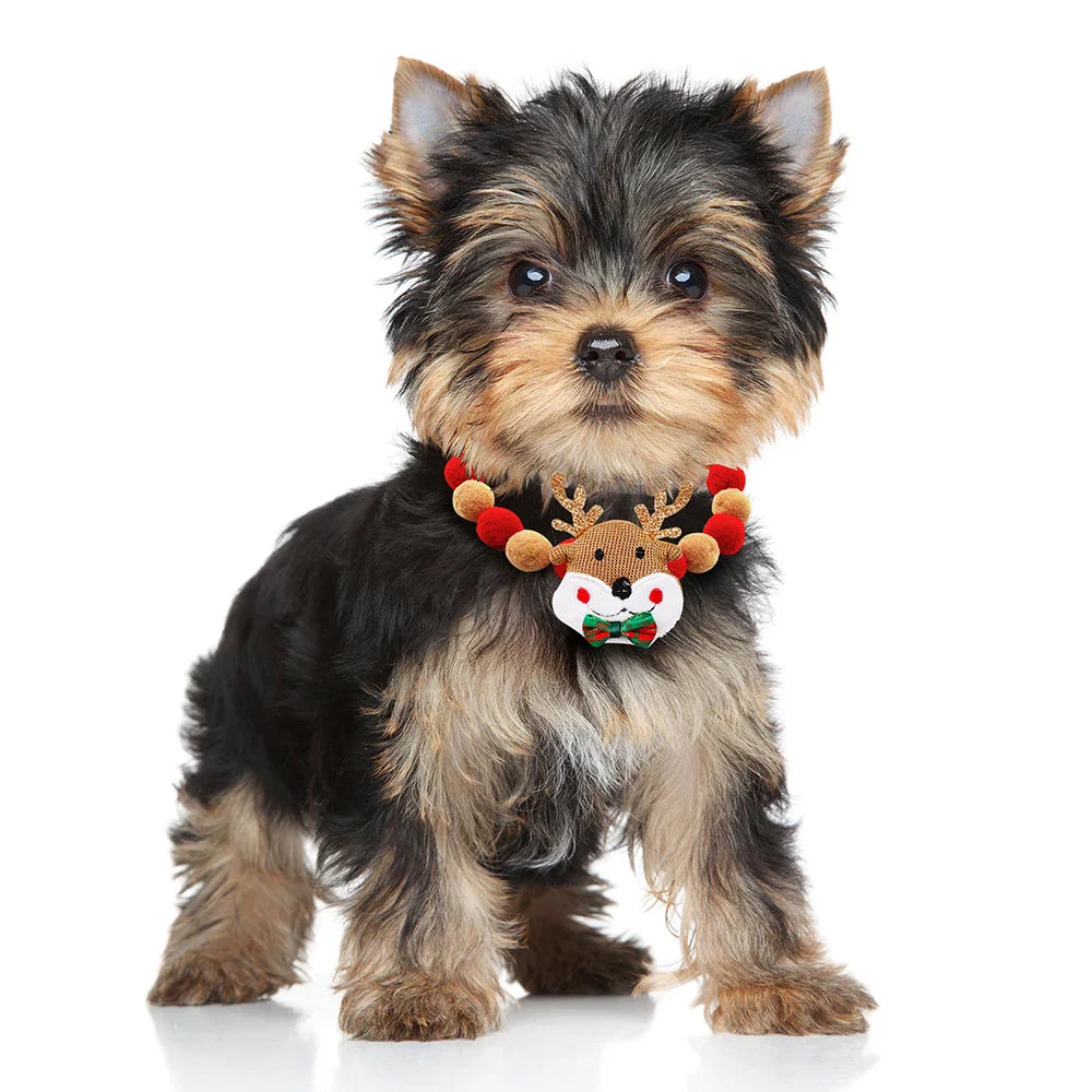 Festive Holiday Pet Bowtie Collar with Seasonal Design-My Little Pet