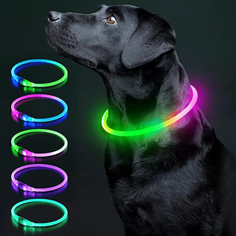 Rechargeable LED Dog Collar - Adjustable, Luminous Safety Collar for Pets-My Little Pet