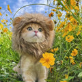 Lion Mane Cat Costume Wig-My Little Pet