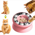 Interactive Slanted Cat Feeder Bowl for Slow Feeding-My Little Pet