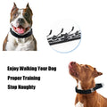 Quick Release Dog Prong Training Collar with Padded Nylon Cover-My Little Pet