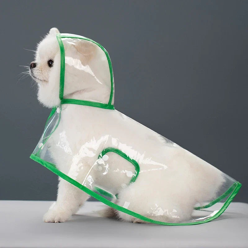 Transparent Raincoat for Dogs - Durable, Windproof, and Waterproof-My Little Pet