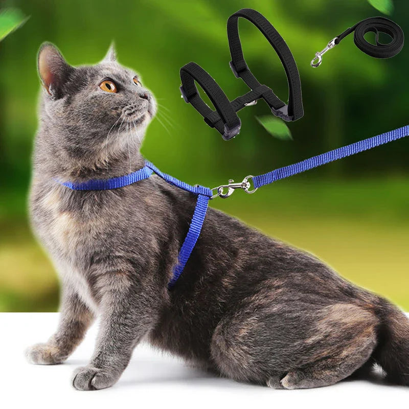 Cat Harness and Leash Set – Lightweight and Adjustable for Outdoor Adventures-My Little Pet