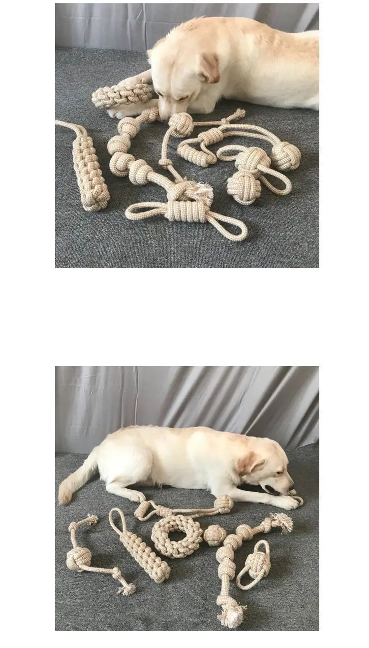 Multi-Purpose Chew Toy for Pets-My Little Pet