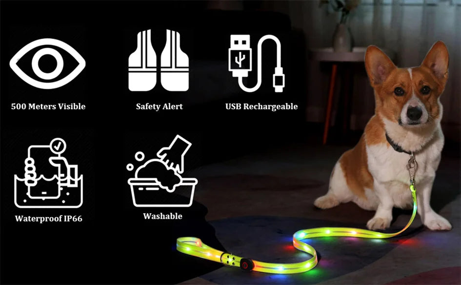 Rechargeable LED Dog Leash for Enhanced Nighttime Safety-My Little Pet