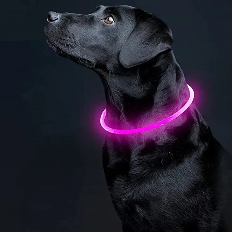 Rechargeable LED Dog Collar - High Visibility & Adjustable-My Little Pet