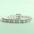 Elegant Pearl and Rhinestone Pet Collar-My Little Pet