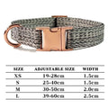 Personalized Dog Collar and Leash Set with Engraved Nameplate-My Little Pet