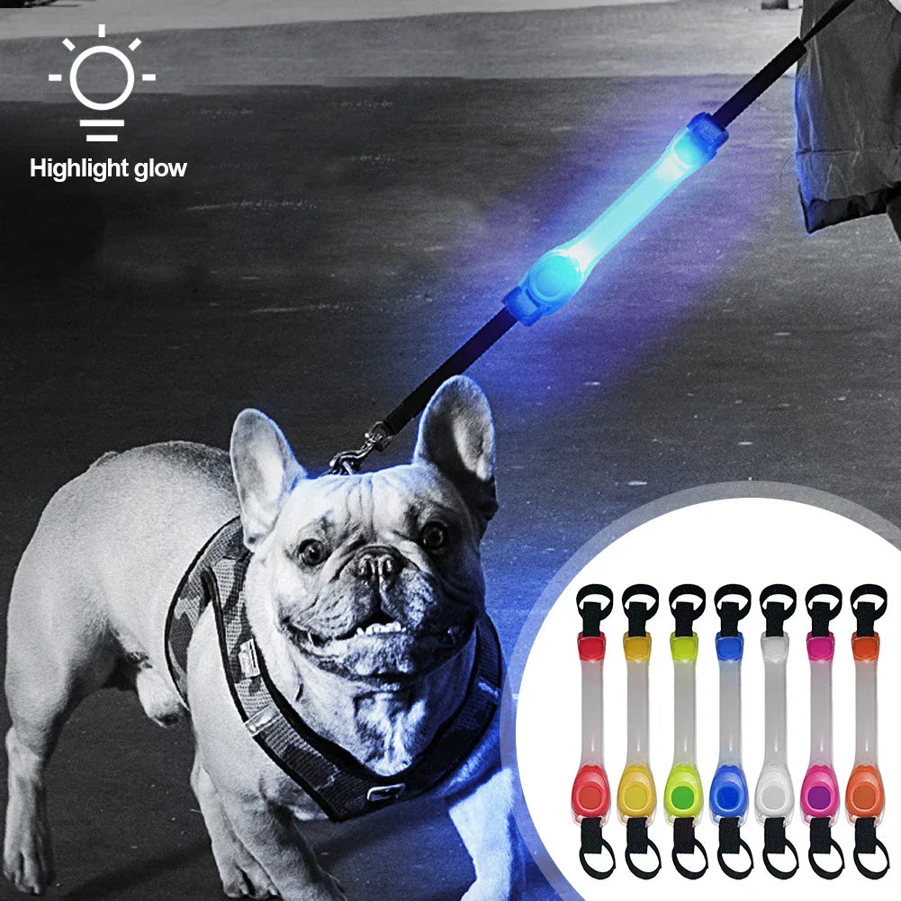 LED Safety Collar & Leash for Dogs - Waterproof with Flashing Lights-My Little Pet