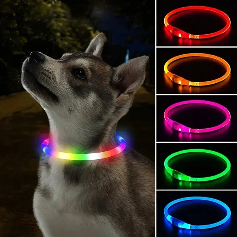 Rechargeable LED Dog Collar - High Visibility & Adjustable-My Little Pet