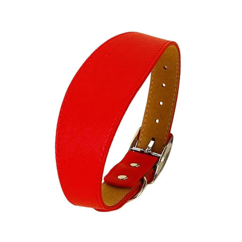 Premium Leather Dog Collar for Sighthounds and Dachshunds-My Little Pet