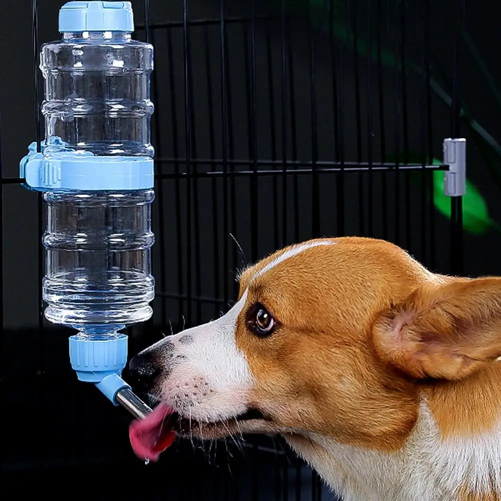 Automatic Pet Water Dispenser for Small Animals - 473ml/946ml/1300ml-My Little Pet