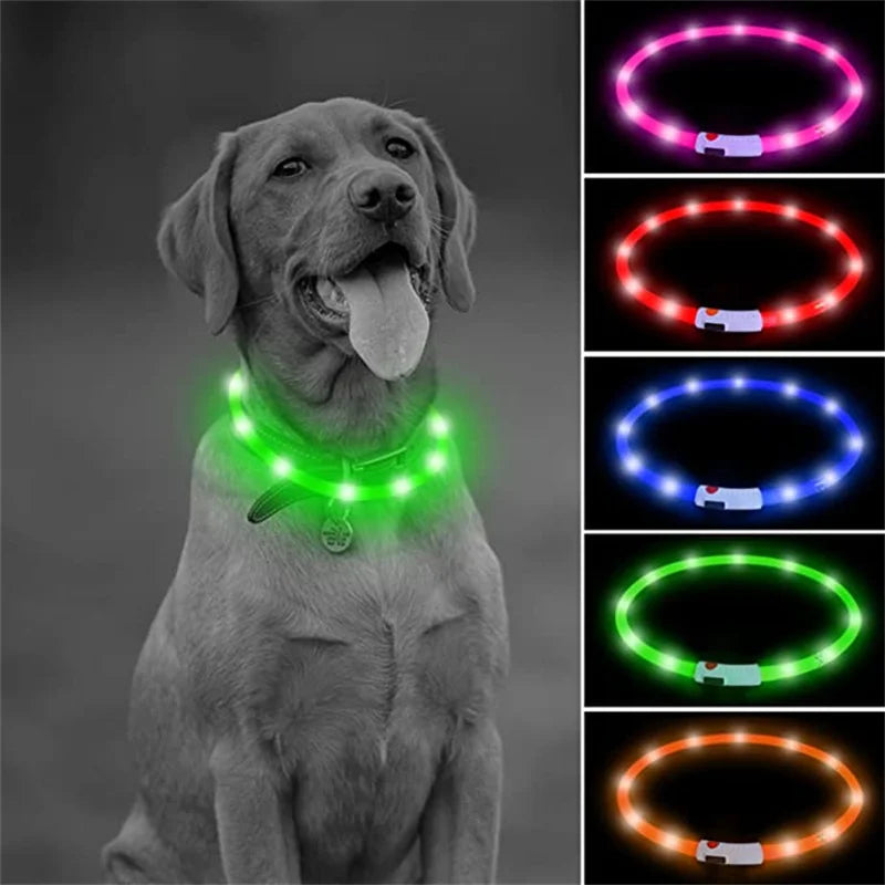 Rechargeable LED Dog Collar - Adjustable, Luminous Safety Collar for Pets-My Little Pet