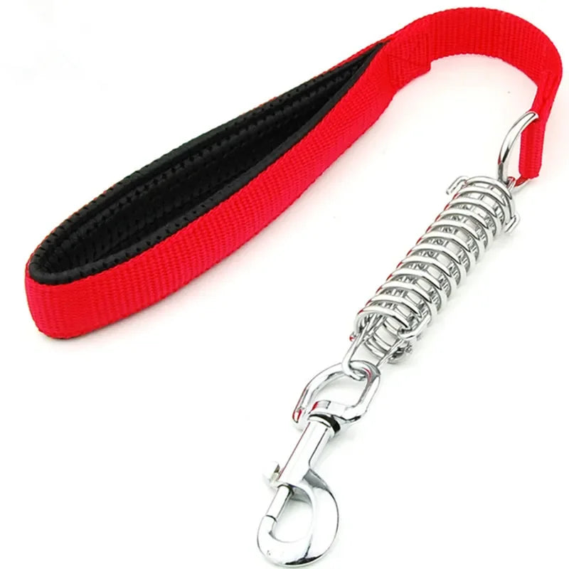 Durable Dog Leash for Large Dogs - Padded Nylon and Leather-My Little Pet