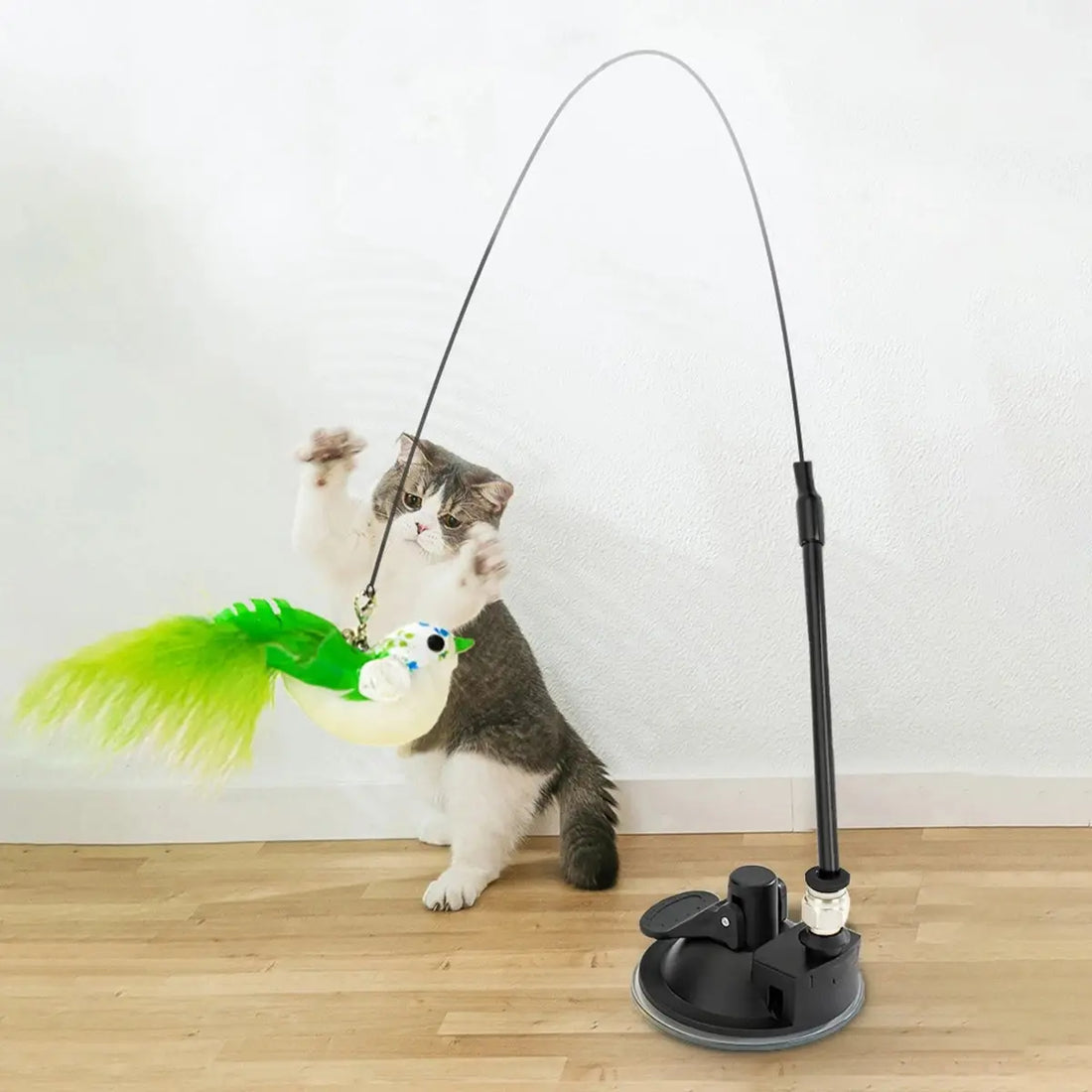 Interactive Cat Toy with Suction Cup, Feather, and Bell-My Little Pet