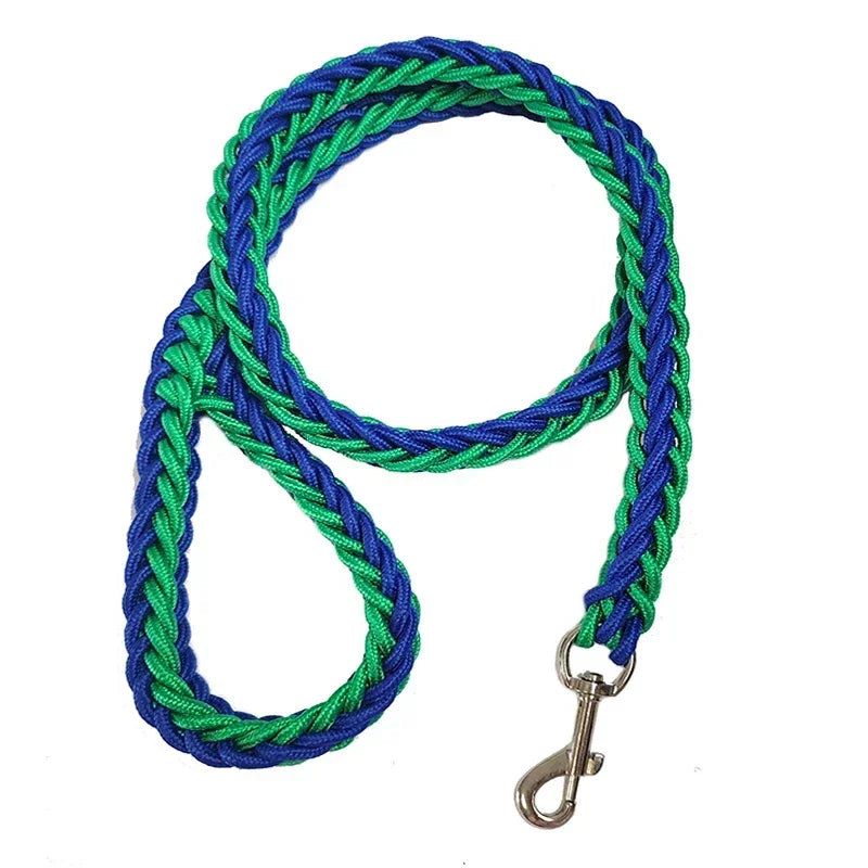 Nylon Dog Leash for Medium to Large Dogs – Training & Walking Lead - My Little Pet