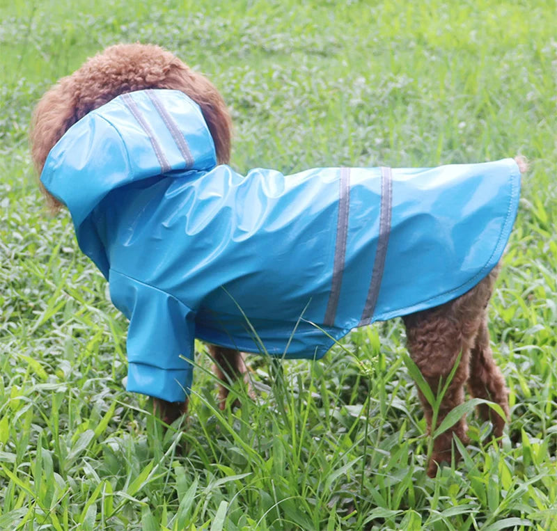 Reflective Waterproof Dog Raincoat for Small Pets-My Little Pet