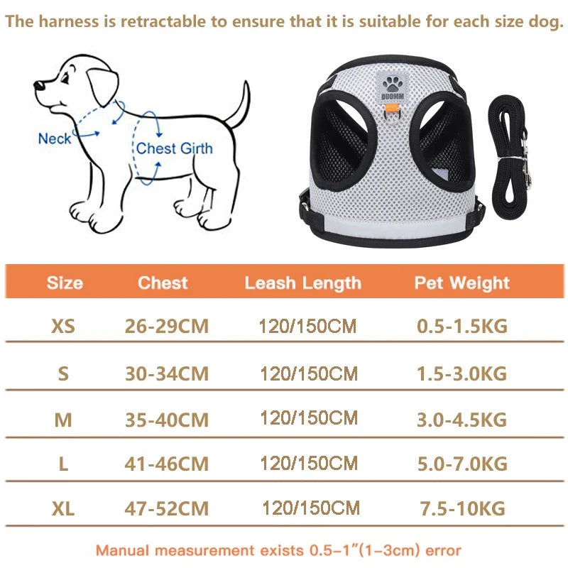 Reflective Nylon Dog Harness and Leash Set for Small to Medium Dogs and Cats-My Little Pet