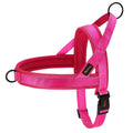 Adjustable No-Pull Dog Harness with Reflective Padding-My Little Pet