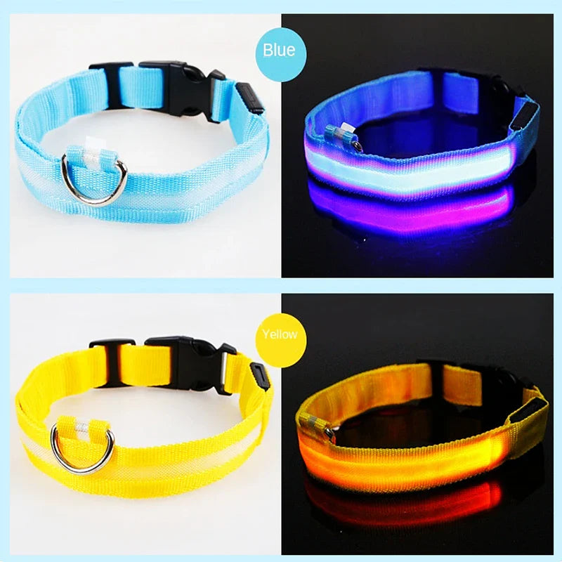 Rechargeable LED Dog Collar - Adjustable, Luminous Safety Collar for Pets-My Little Pet