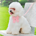 Elegant Velvet Dog Collar and Leash Set with Bowknot for Small to Medium Dogs-My Little Pet