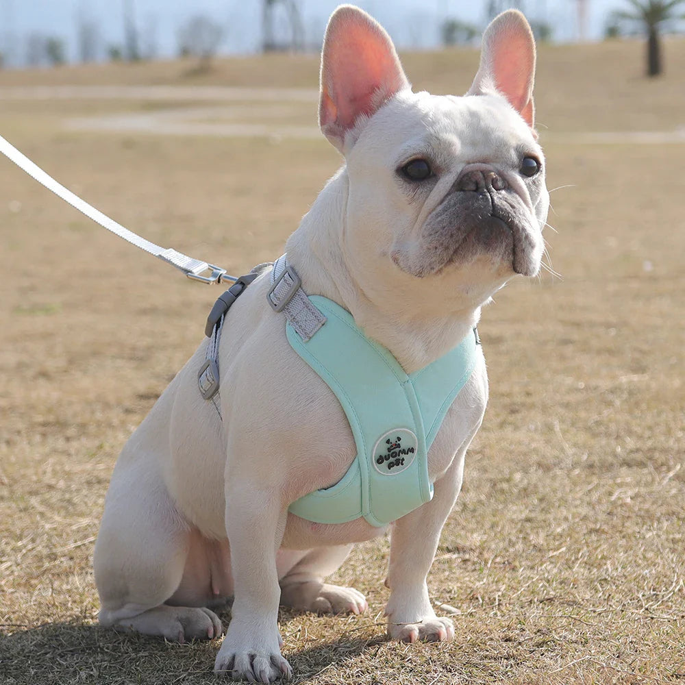 Reflective Dog Harness and Leash Set for Small to Medium Dogs-My Little Pet