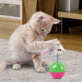 Interactive Cat and Dog Toy Set with Teaser Mouse Design-My Little Pet