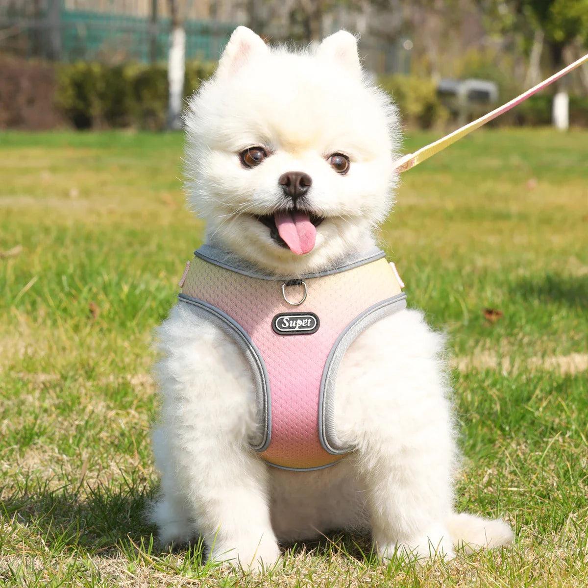 Supet Adjustable Pet Harness - Reflective and Breathable Vest for Dogs and Cats-My Little Pet