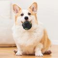 Multi-functional Dog Toy for Dental Health and Treat Dispensing-My Little Pet