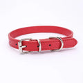 Adjustable Dog Collar with Alloy Buckle - Available in Multiple Colors-My Little Pet