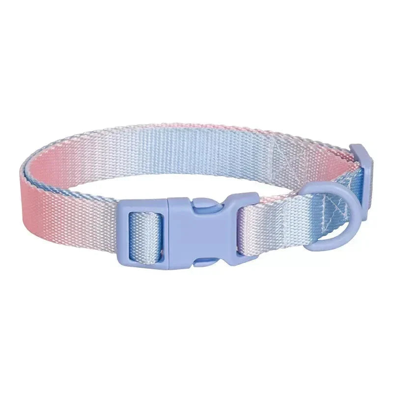 Adjustable Nylon Dog Collar with Quick Release - Available in Pink, Blue, Purple-My Little Pet