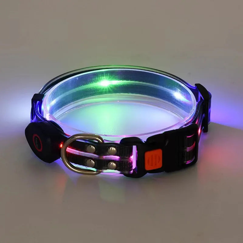 Rechargeable LED Dog Leash for Enhanced Nighttime Safety-My Little Pet