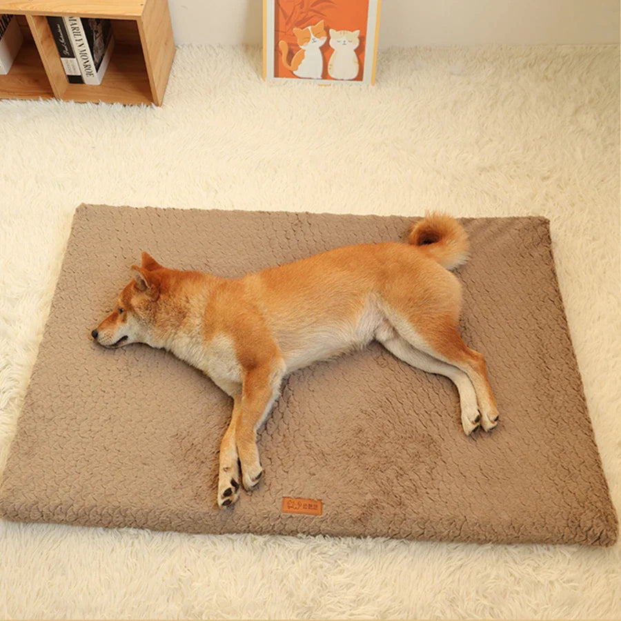 Short Plush Removable Washable Pet Bed – High Elasticity Non-Collapse Dog Bed for Small and Medium Dogs and Cats-My Little Pet