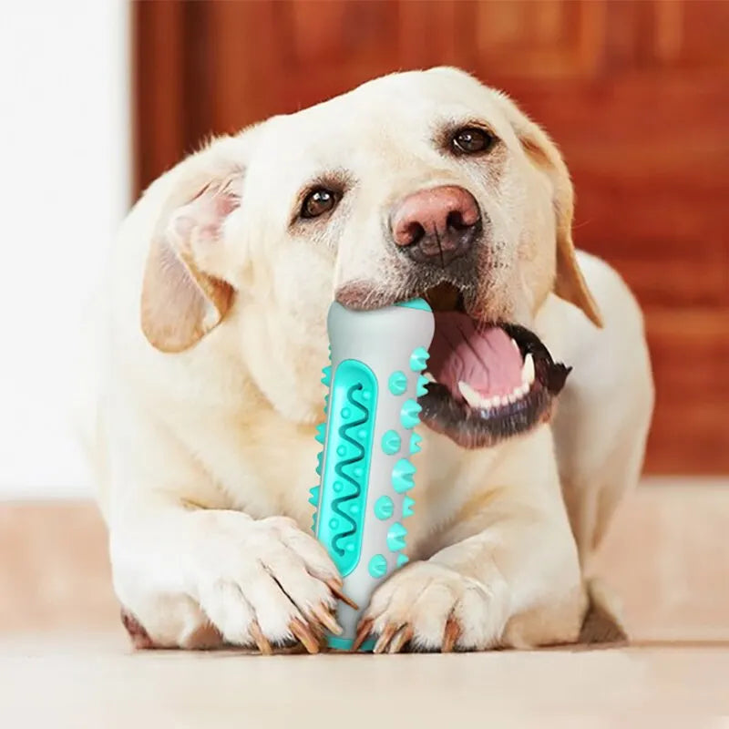 Dog Teething Stick – Chewable Dental Care Toy for Teeth Cleaning and Oral Health-My Little Pet