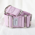 Adjustable Martingale Dog Collar for Italian Greyhounds and Whippets-My Little Pet