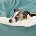 Orthopedic Pet Bed with Integrated Hooded Blanket-My Little Pet