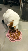 Non-Slip Silicone Pet Licking Mat for Cats and Dogs - Slow Feeding Solution-My Little Pet