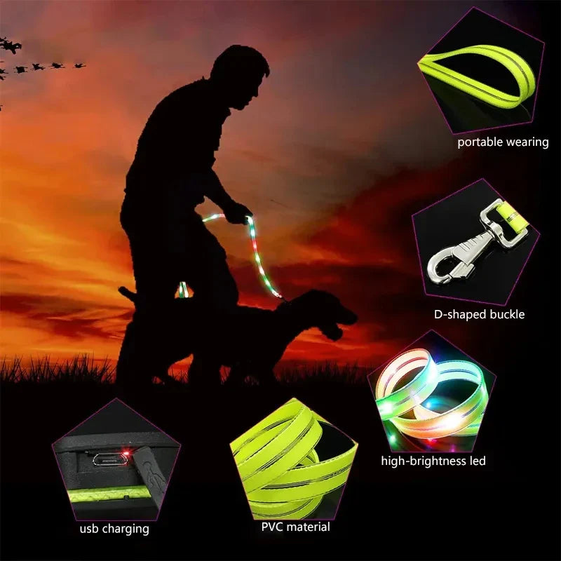 Rechargeable LED Dog Leash for Enhanced Nighttime Safety-My Little Pet