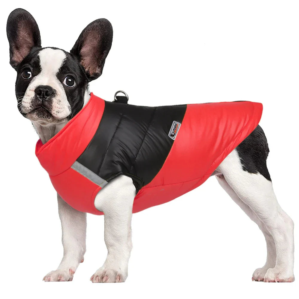 Waterproof Winter Dog Coat for All Sizes-My Little Pet