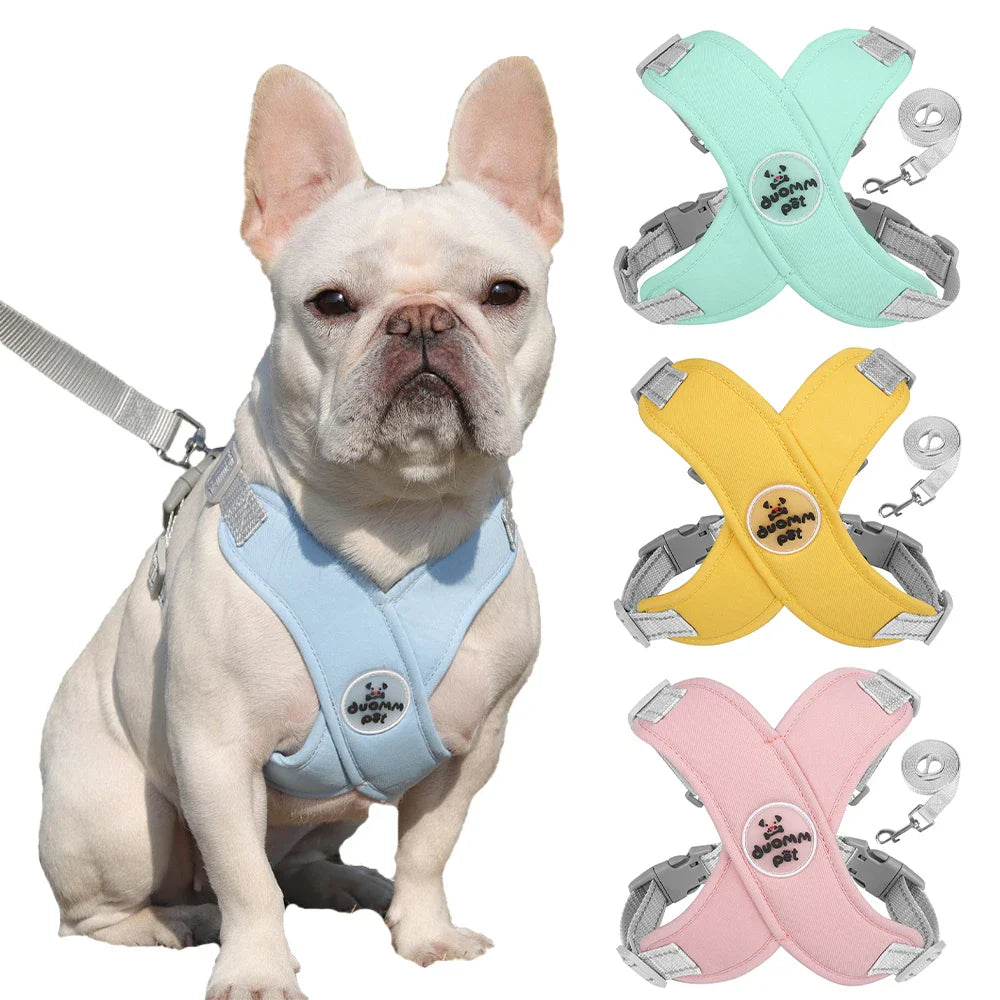 Reflective Dog Harness and Leash Set for Small to Medium Dogs-My Little Pet